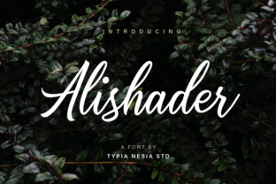 Alishader: The Modern Calligraphy Font for Bold Campaigns