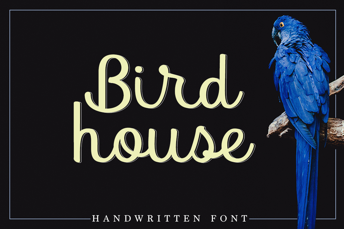 Bird House Font: A Designer’s Review