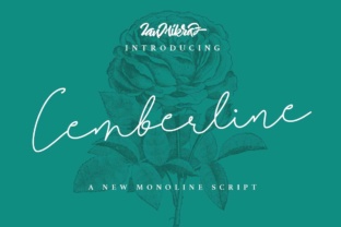 Cemberline: A Modern Script Font for Branding