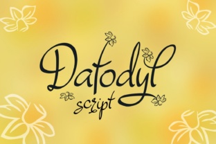 Dafodyl: A Handwritten Typeface for Editorial Grace