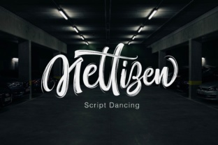 Nettizen: A Modern Script Font for Polished Branding