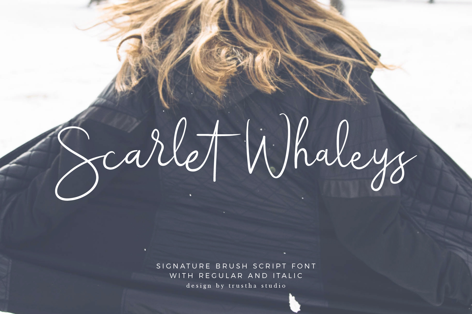 Scarlet Whaleys: A Signature Script Font for Bold Campaigns