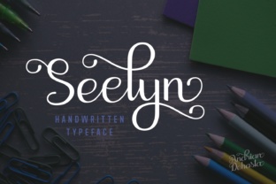 Seelyn: A Designer’s Honest Review for Brand Use