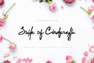 Smile of Cinderella Font: Elevate Your Brand